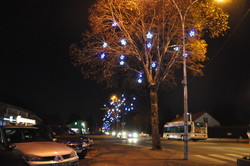 Etoile bleue et blanche