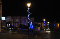 Vignes bleues et blanches+Cne