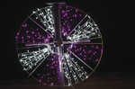 Disque Blanc et Fuchsia+Comte Blanche